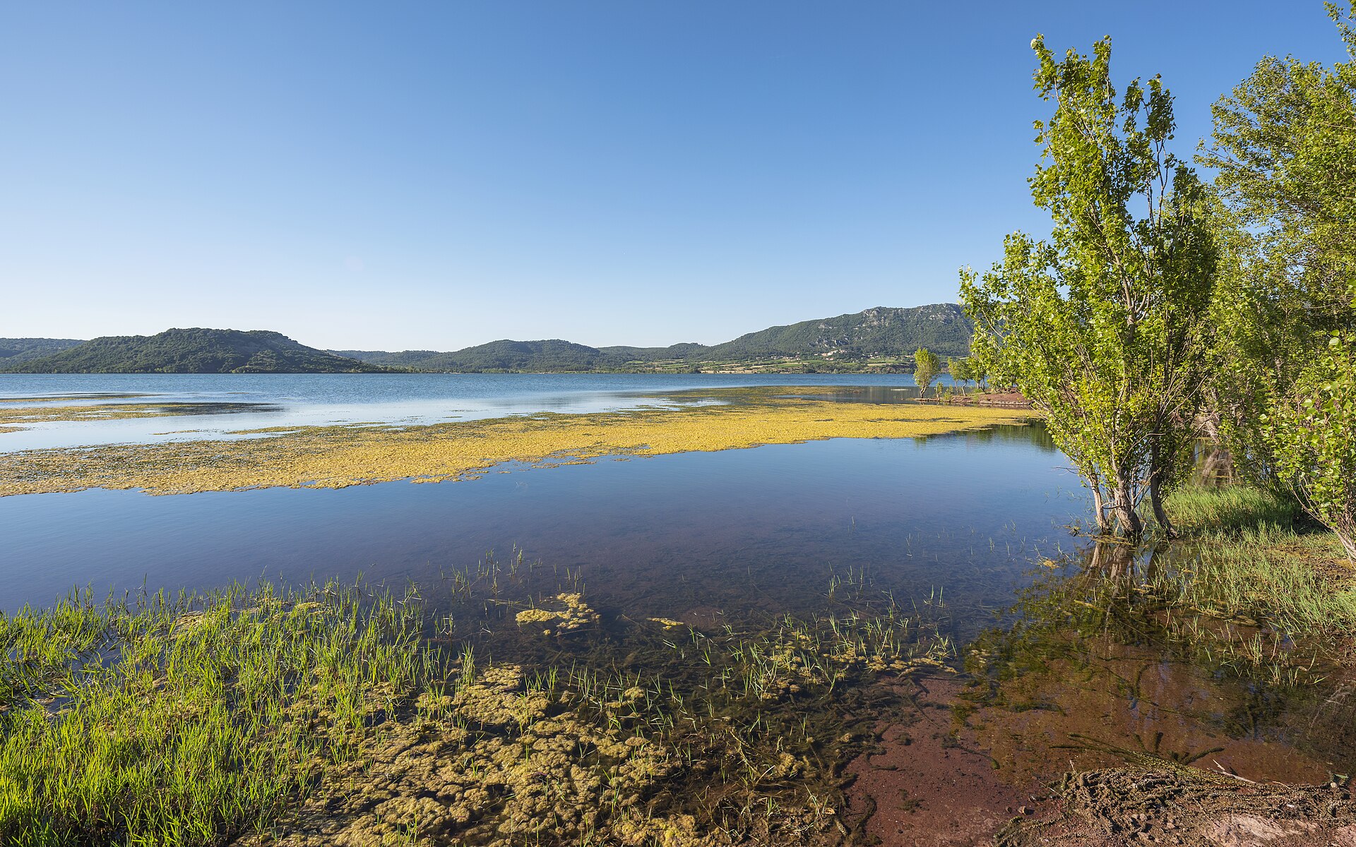 Rive du lac du Salagou près de Celles